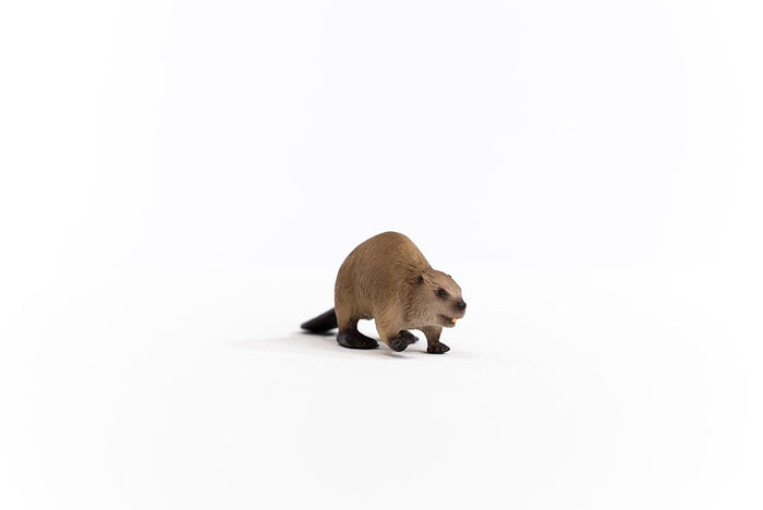 Beaver (Circular)