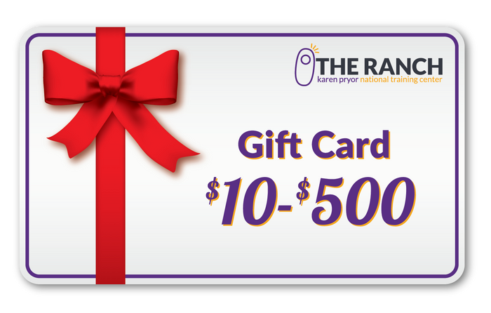 eGift Card