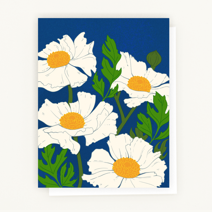 Lesley Goren - Everyday Floral Card – Matilija Poppy Botanical Illustration: Single