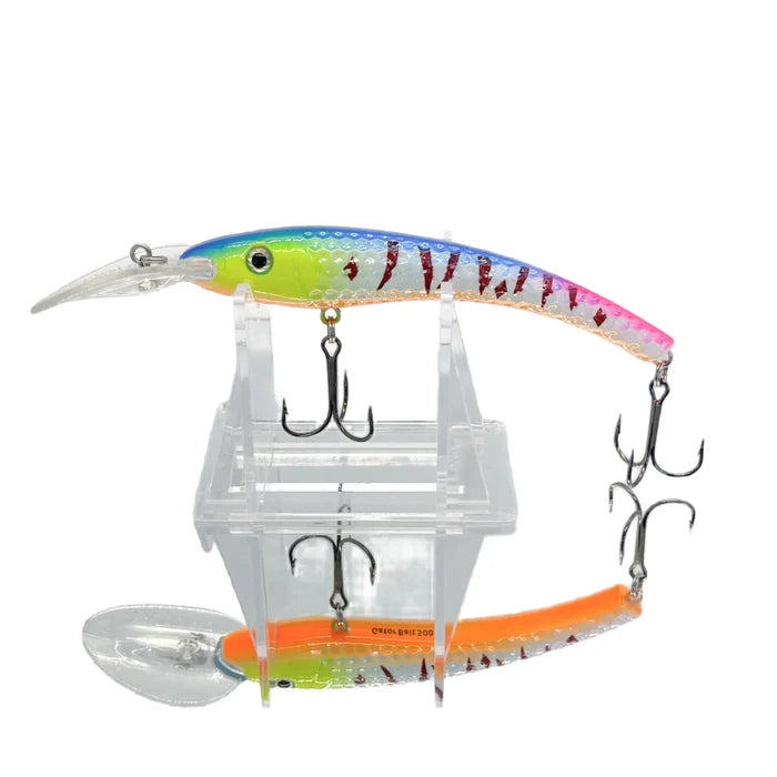 Rainbow Perch