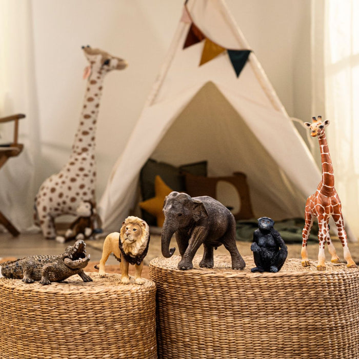 5-Piece Safari Adventure Bundle