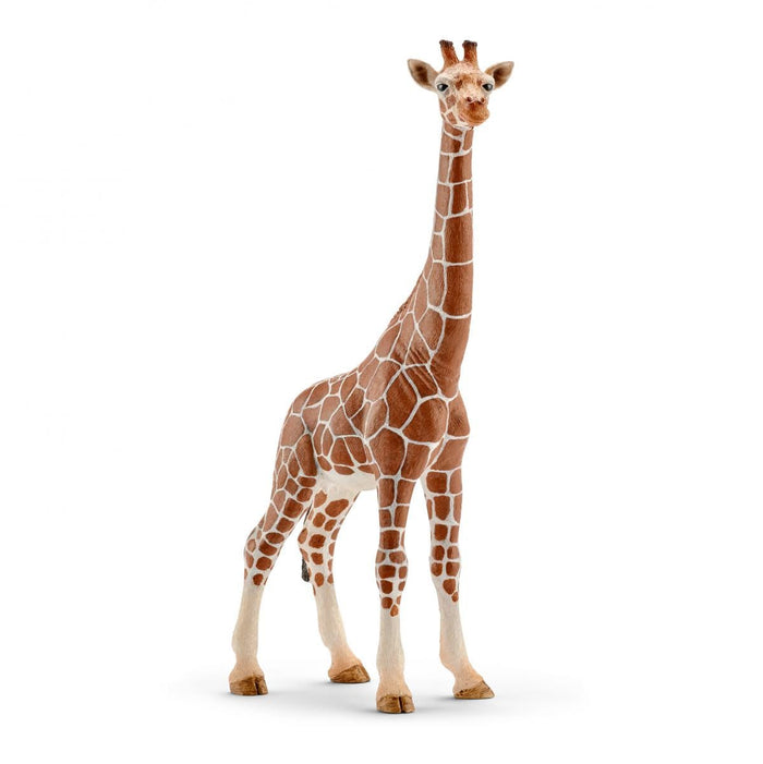 5-Piece Safari Adventure Bundle