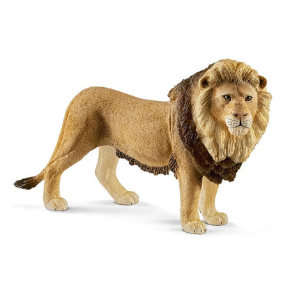 5-Piece Safari Adventure Bundle