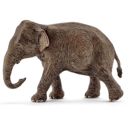 5-Piece Safari Adventure Bundle