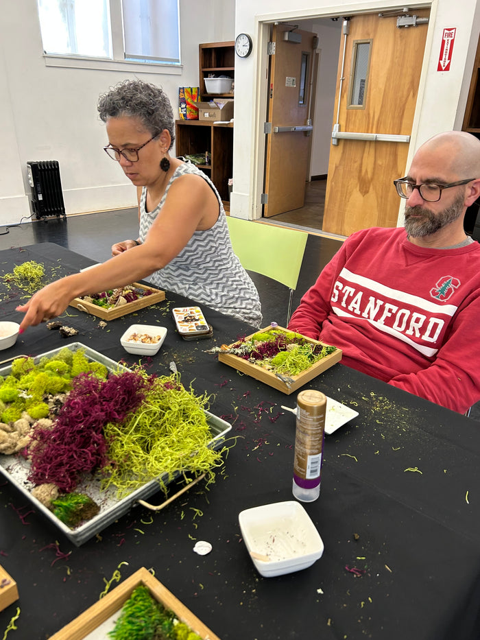8/8 Creating Moss-Scapes Workshop