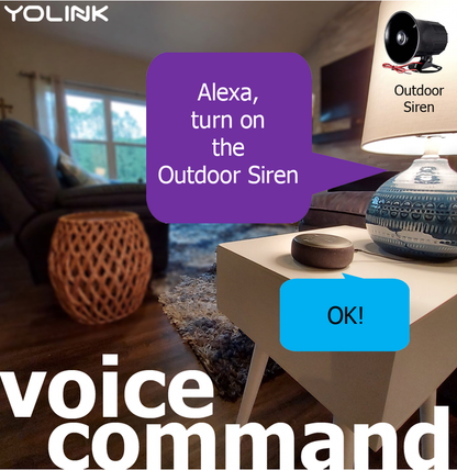 voice command