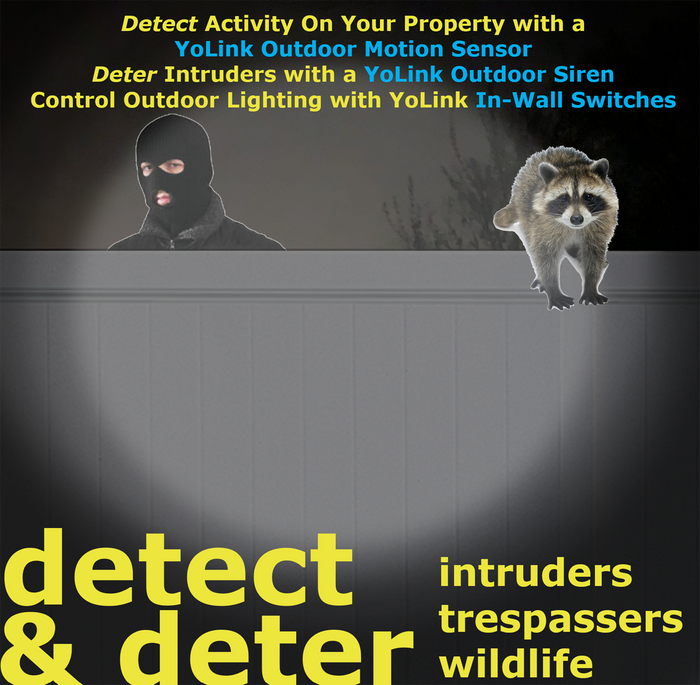detect and deter