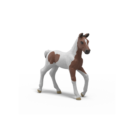 Advent Calendar HORSE CLUB : Holiday Foal Magic