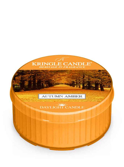 Kringle Candle Autumn Amber daylight candle on a white background