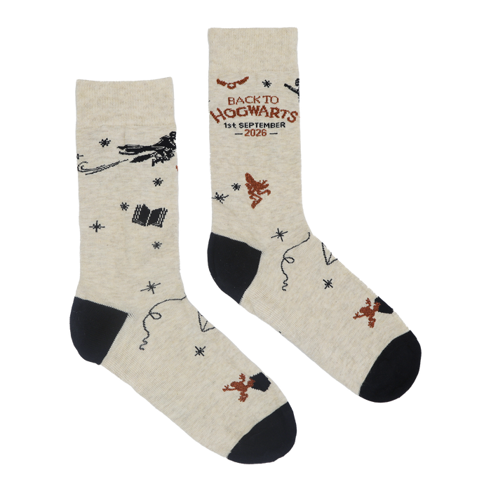 Back to Hogwarts 2026 Socks