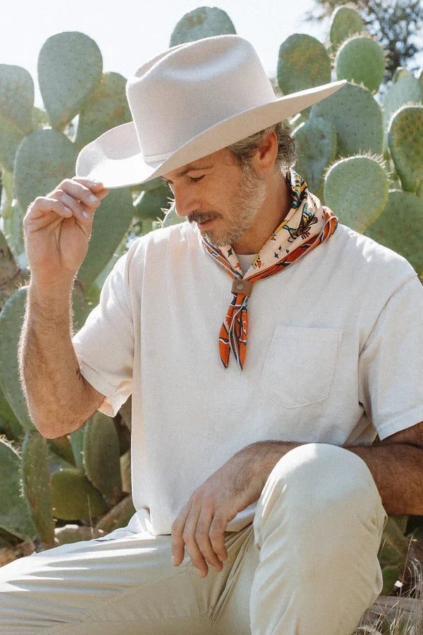 BANDITS Bandanas - Desert Sun