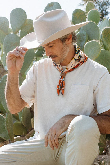 BANDITS Bandanas - Desert Sun