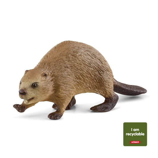 Beaver (Circular)