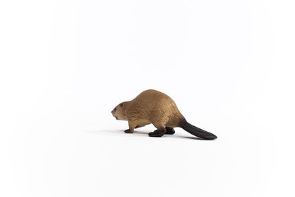 Beaver (Circular)
