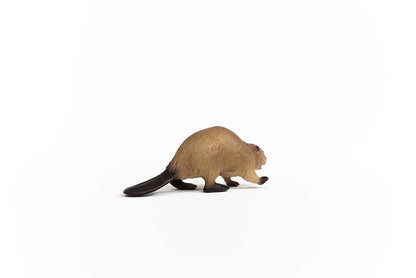 Beaver (Circular)