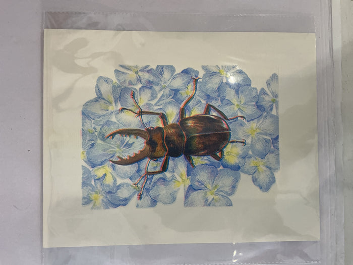 Beetle | 8.5"x11" Risograph Print | Christina Hu