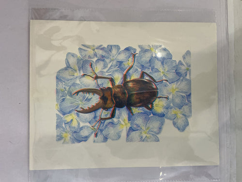 Beetle | 8.5"x11" Risograph Print | Christina Hu