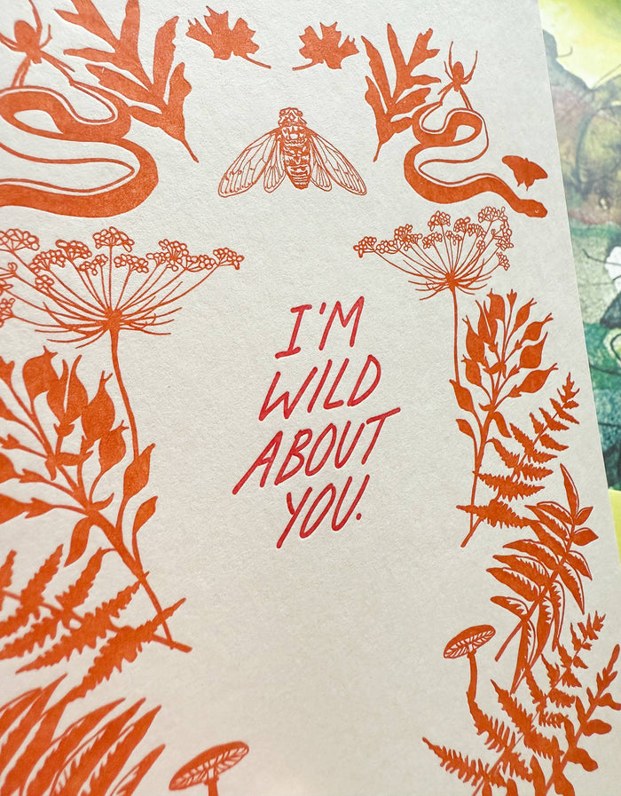 Blackbird Letterpress - I'm Wild About You card