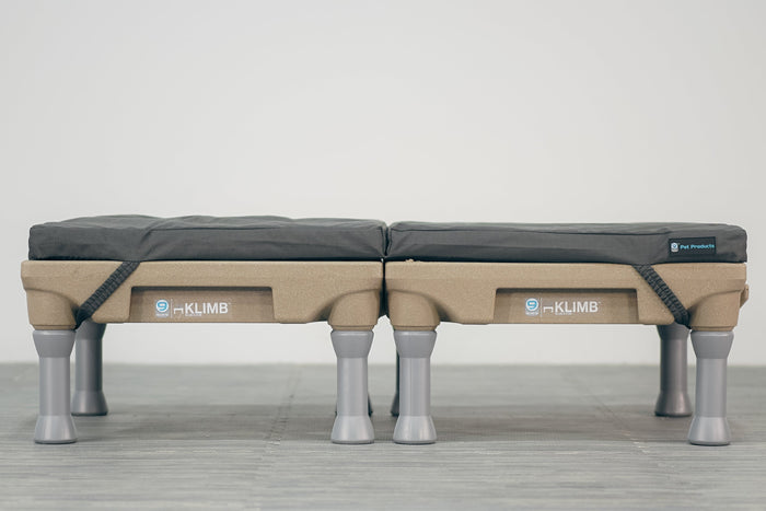 Blue-9 Restore+ Double Dog Bed