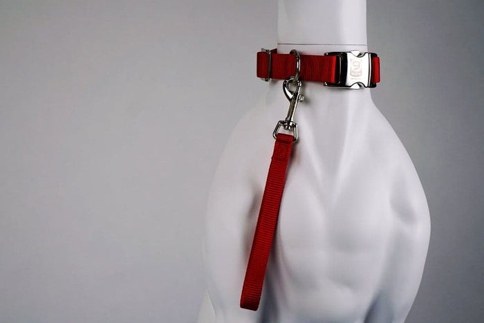 Blue-9 Tab Leash