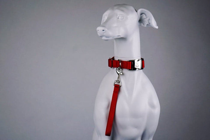 Blue-9 Tab Leash