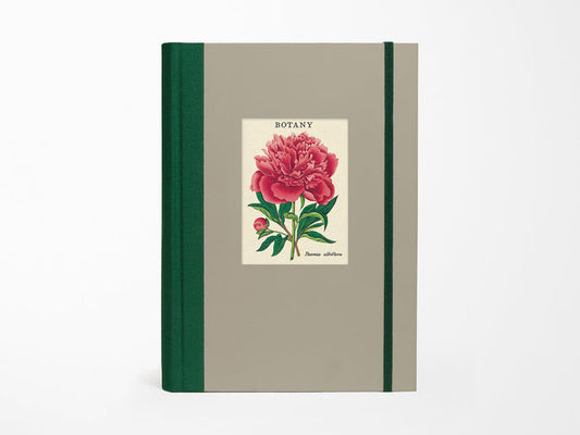 Botany Window Journal