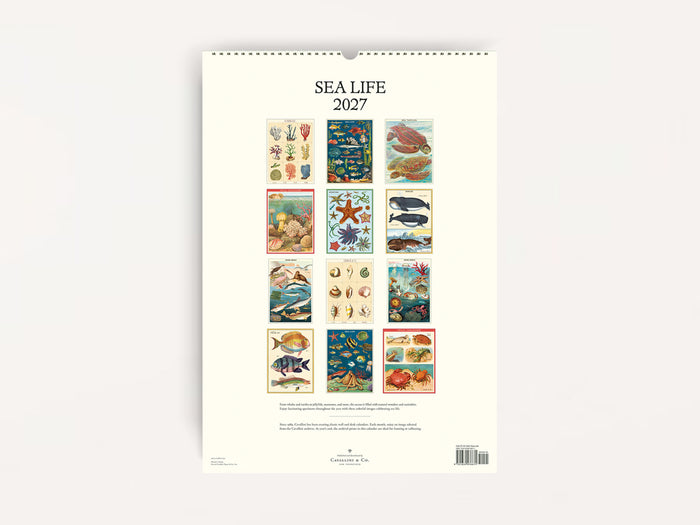Cavallini 2027 WALL Calendar - Sea Life