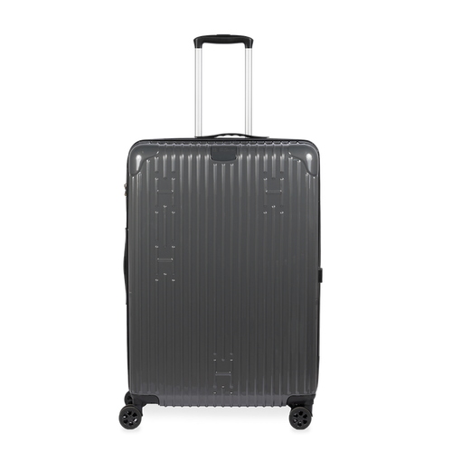 Check-In Luggage