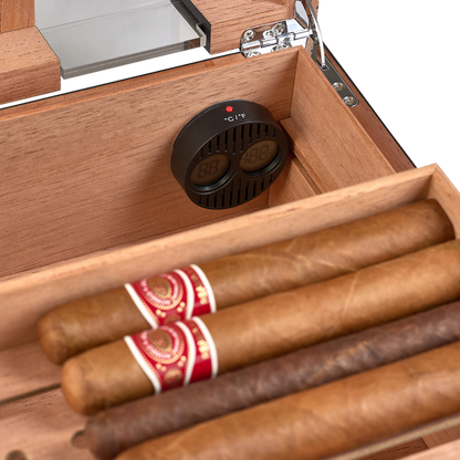 Cigar Humidor