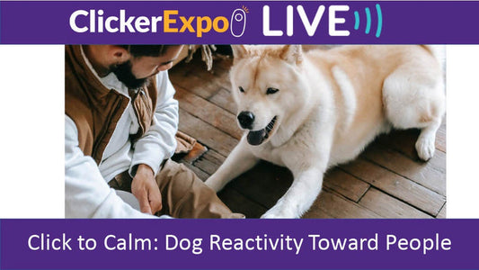 Click to Calm: Dog Reactivity Toward People - Video on Demand