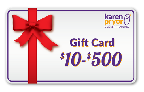 eGift Card