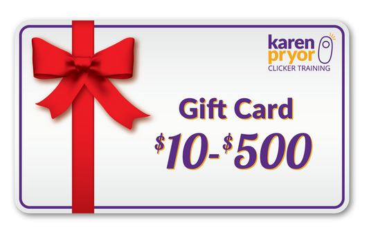 eGift Card