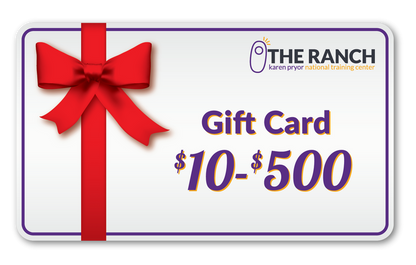 eGift Card