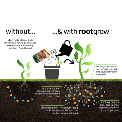 Empathy Rootgrow with Gel Sachet 360g