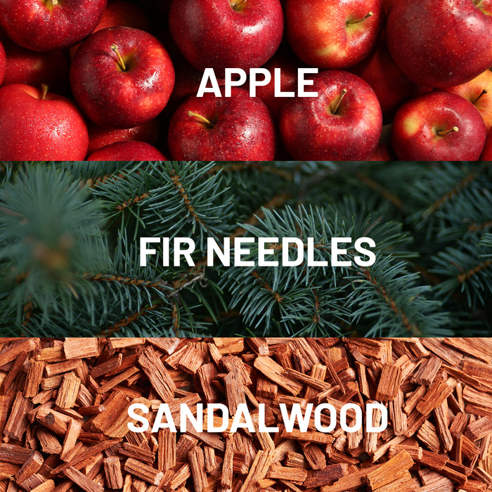 Fir Tree