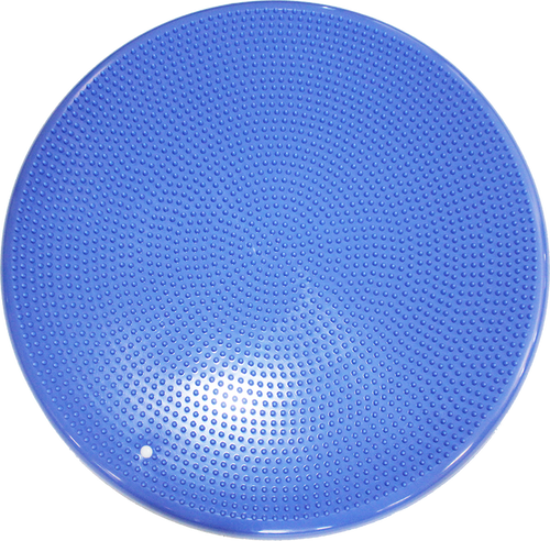 FitPAWS® Balance Discs