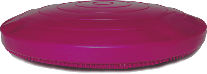 FitPAWS® Balance Discs