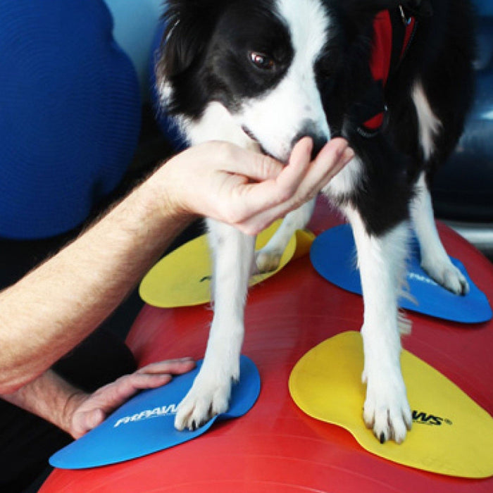 FitPAWS Targets