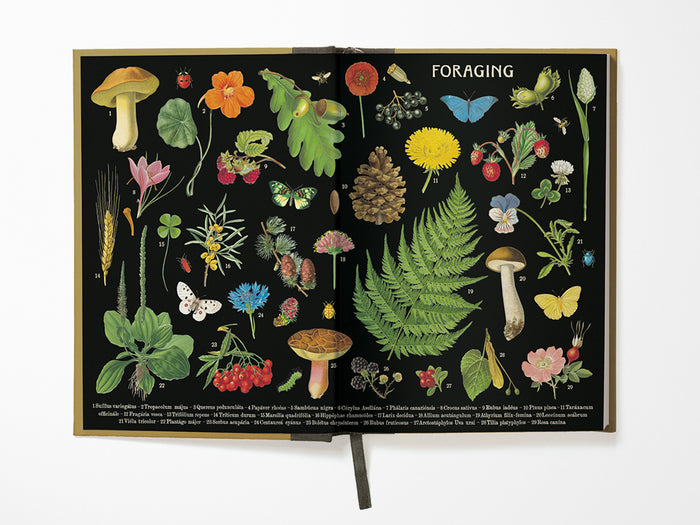 Foraging Window Journal