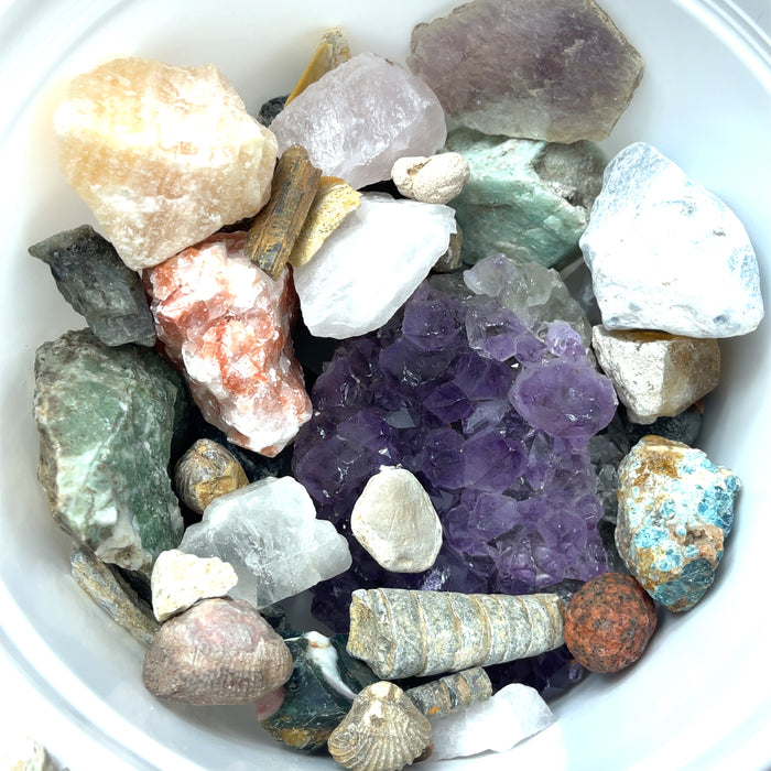 Inside the bucket after sifting through on white