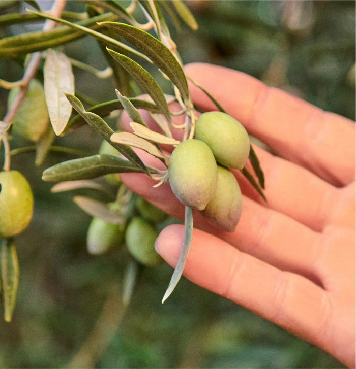 Custom Graza Olive Oil - Corporate Gifts