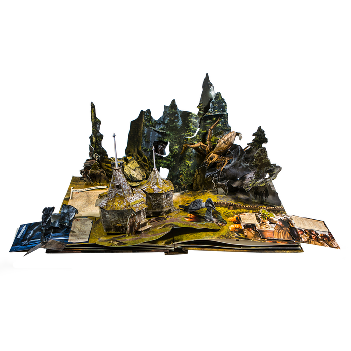 Harry Potter: A Pop-Up Book