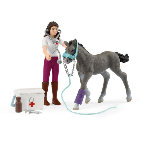 Horse Care with Trakehner Foal