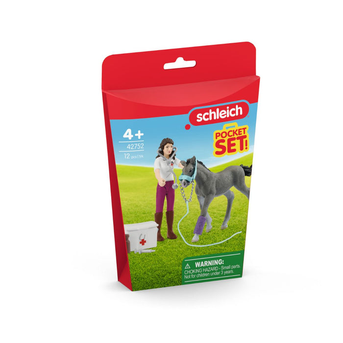 Horse Care with Trakehner Foal