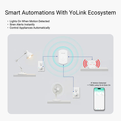 Indoor Motion Sensor RT