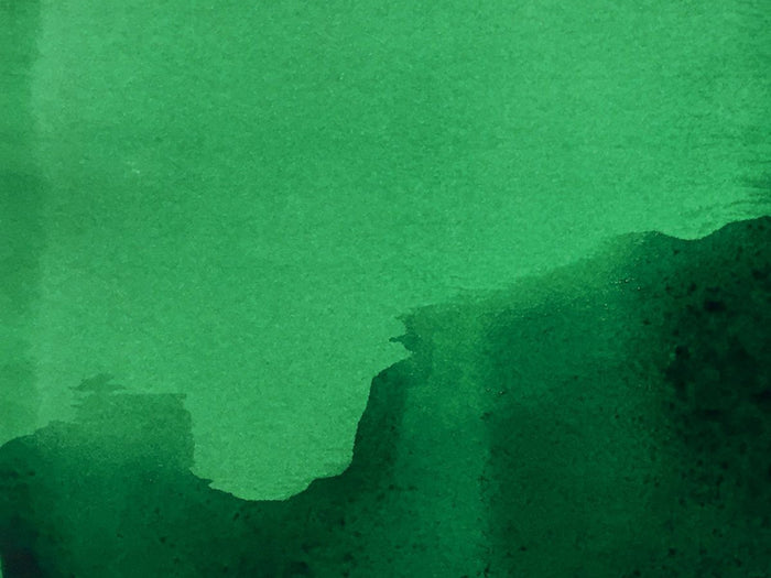 Jacques Herbin Essential Ink - Vert Amazone