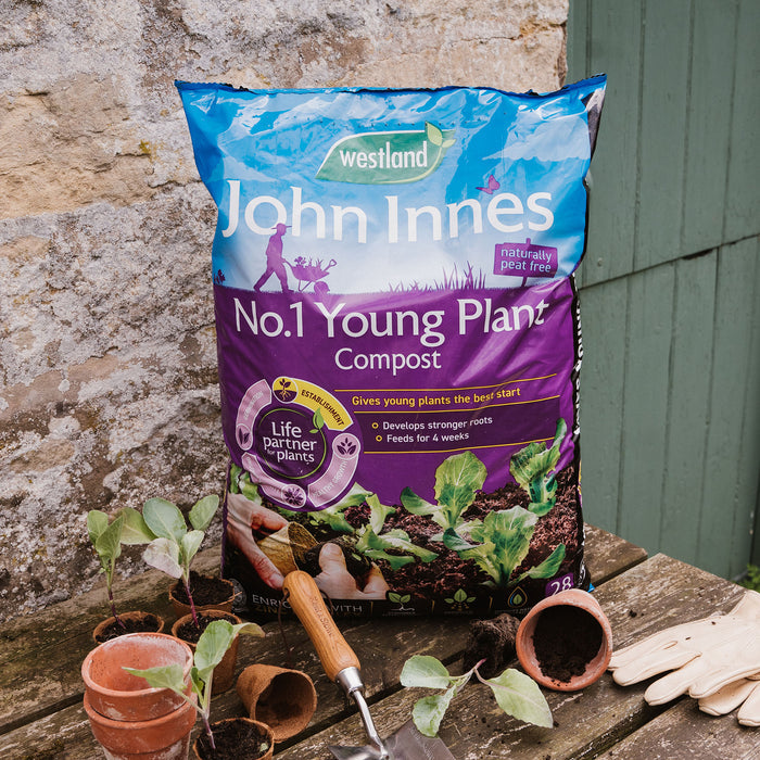 A bag of Westland John Innes No.1 Young Plant Compost stands on a wooden table outdoors, surrounded by small potted plants, gardening tools, and terracotta pots against a stone wall and green door.
