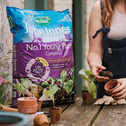 A bag of Westland John Innes No.1 Young Plant Compost stands on a wooden table beside a person in overalls holding small potted plants and soil, with gardening gloves and terracotta pots around it.