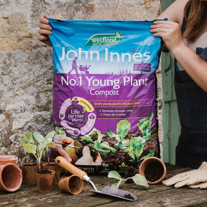 A person holds a large bag of Westland John Innes No.1 Young Plant Compost on a rustic wooden table, surrounded by small potted plants, terracotta pots, gloves, and a trowel against a stone wall background.