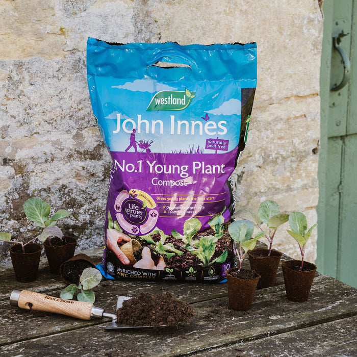 A bag of Westland John Innes No.1 Young Plant Compost stands on a wooden table outdoors, surrounded by small potted seedlings and a hand tool with soil, against a stone wall background.